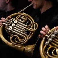 Photo of three french horns